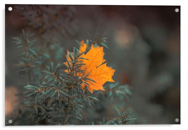 Autumn  Acrylic by Dagmar Giers