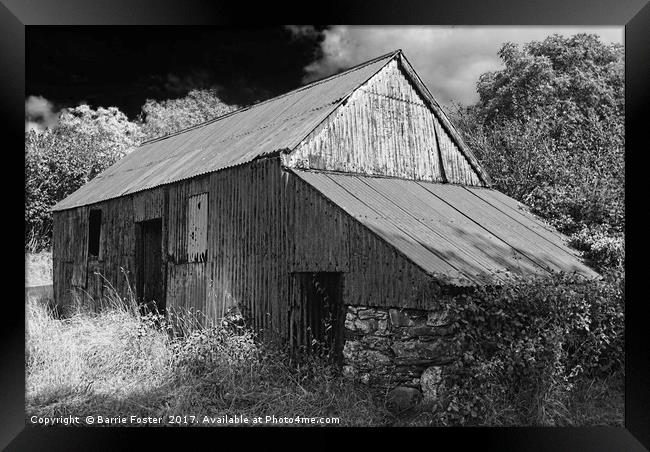 WRIGGLY TIN: FARM SHED, MONO Framed Print by Barrie Foster