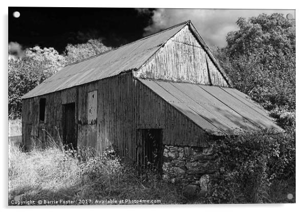 WRIGGLY TIN: FARM SHED, MONO Acrylic by Barrie Foster