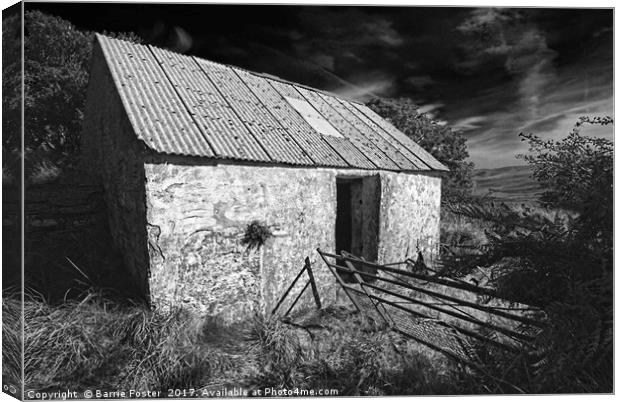 WRIGGLY TIN: GWAUN VALLEY BARN, MONO Canvas Print by Barrie Foster