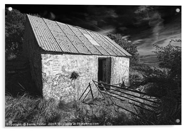 WRIGGLY TIN: GWAUN VALLEY BARN, MONO Acrylic by Barrie Foster