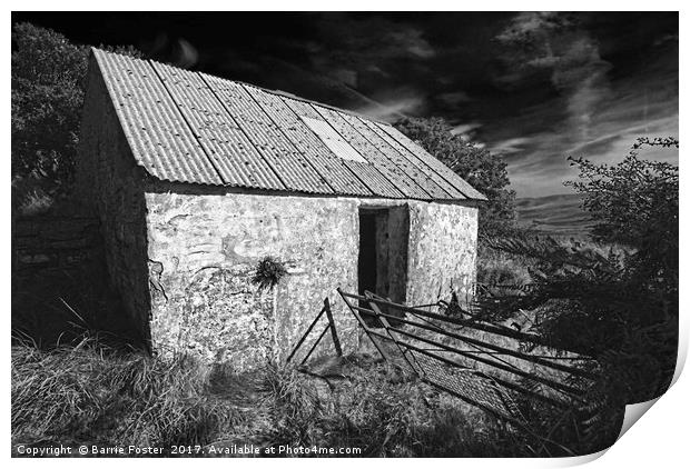 WRIGGLY TIN: GWAUN VALLEY BARN, MONO Print by Barrie Foster
