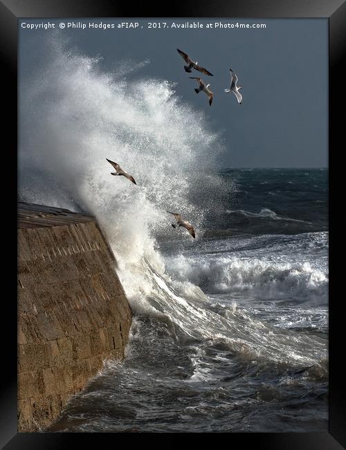 Storm and Seagulls Framed Print by Philip Hodges aFIAP ,