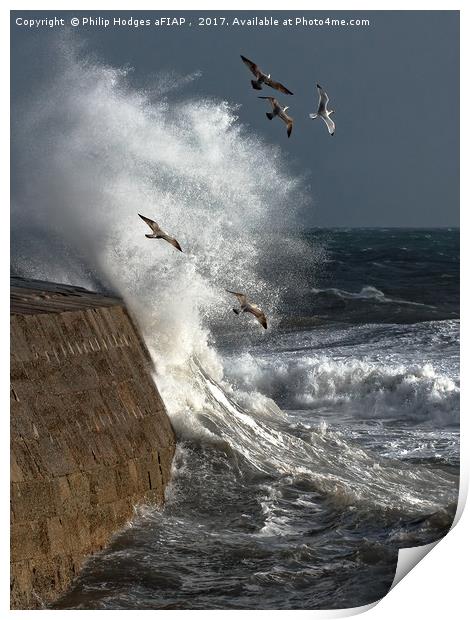 Storm and Seagulls Print by Philip Hodges aFIAP ,