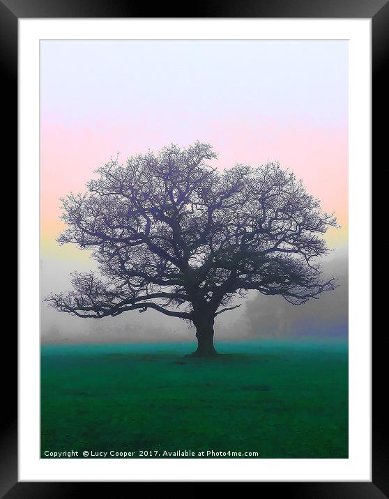 Tree on Wimbledon Common Framed Mounted Print by Lucy Cooper