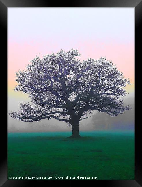 Tree on Wimbledon Common Framed Print by Lucy Cooper