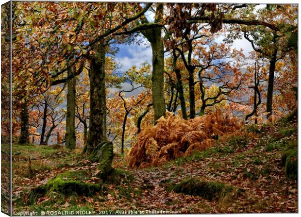 "Autumn Wood" Canvas Print by ROS RIDLEY