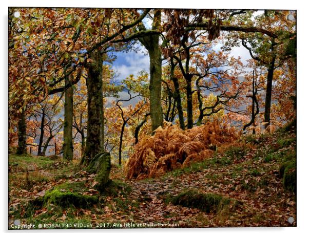 "Autumn Wood" Acrylic by ROS RIDLEY