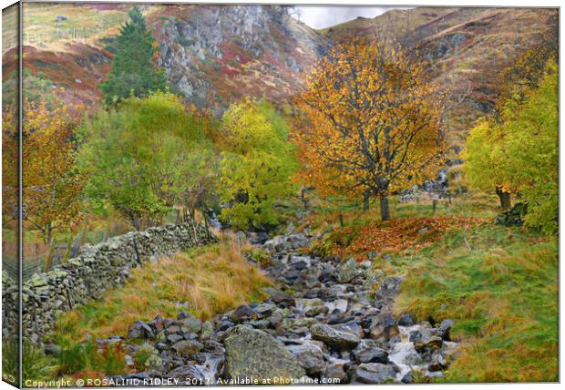 "Autumn in the mountains" Canvas Print by ROS RIDLEY