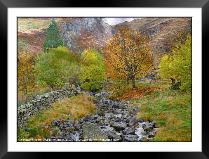 "Autumn in the mountains" Framed Mounted Print by ROS RIDLEY