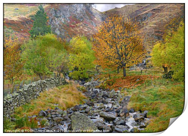 "Autumn in the mountains" Print by ROS RIDLEY