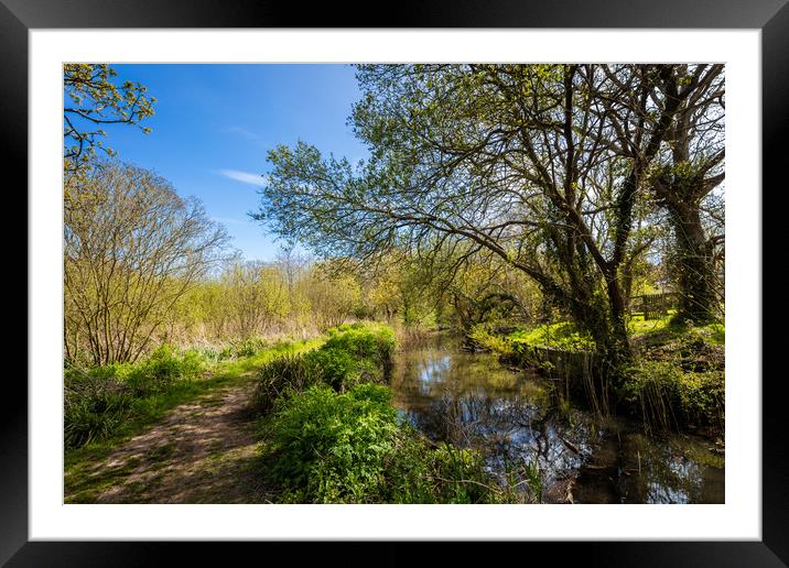 Afton Marsh Freshwater Isle Of Wight Framed Mounted Print by Wight Landscapes