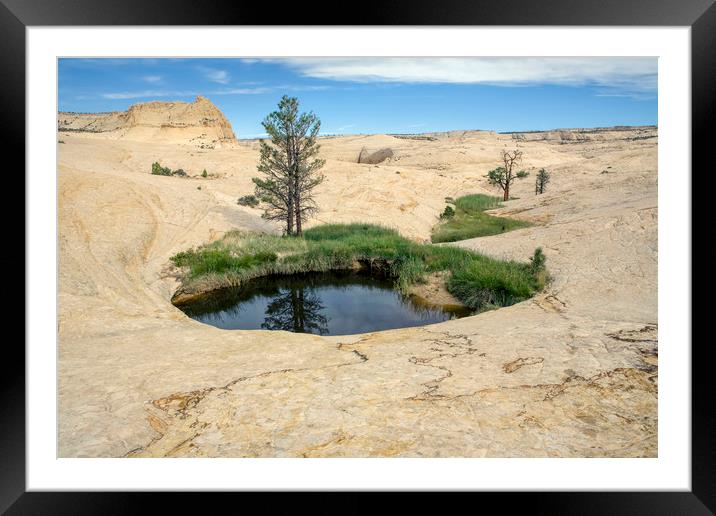 Oasis in Grand Staircase-Escalante National Monume Framed Mounted Print by Luc Novovitch