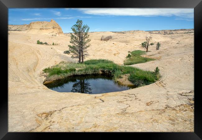 Oasis in Grand Staircase-Escalante National Monume Framed Print by Luc Novovitch