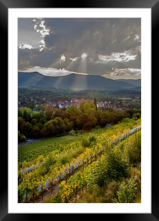 Alsace Vineyards before Sunset Framed Mounted Print by Luc Novovitch