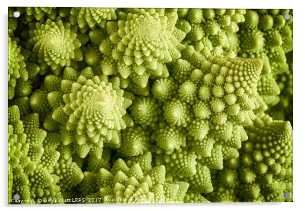 Romanesco broccoli vegetable close up Acrylic by Simon Bratt LRPS