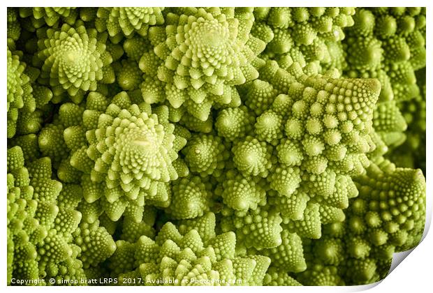 Romanesco broccoli vegetable close up Print by Simon Bratt LRPS