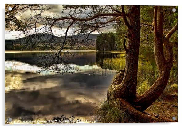Loch Garten Acrylic by Robert Murray