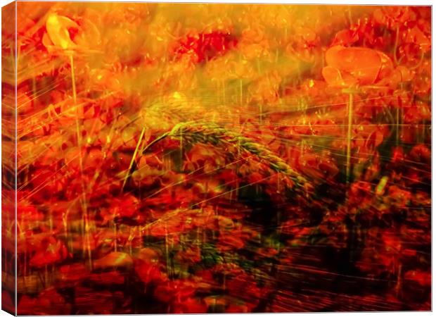 Fields of Fire Canvas Print by Beryl Curran