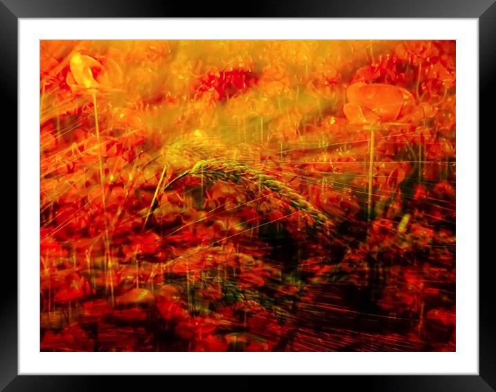 Fields of Fire Framed Mounted Print by Beryl Curran