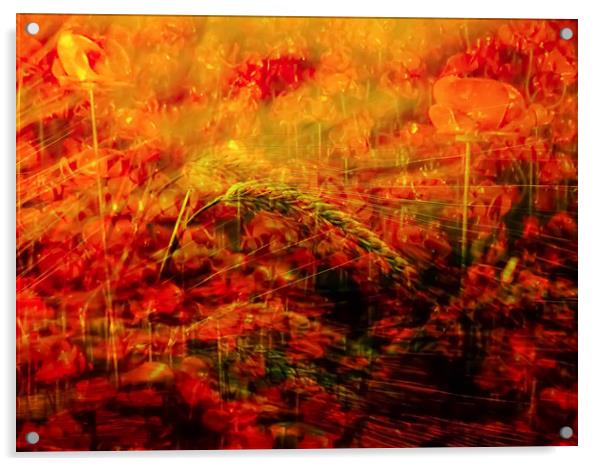 Fields of Fire Acrylic by Beryl Curran