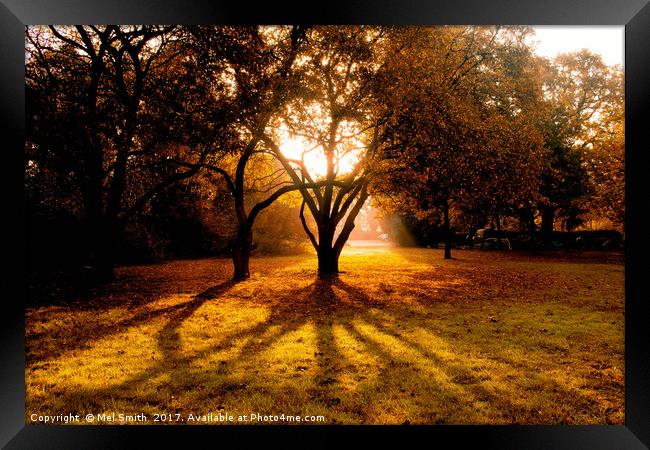 "Enchanting Autumn Palette" Framed Print by Mel RJ Smith