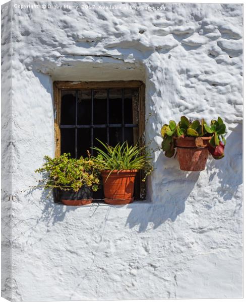 Cottage window Canvas Print by Digby Merry