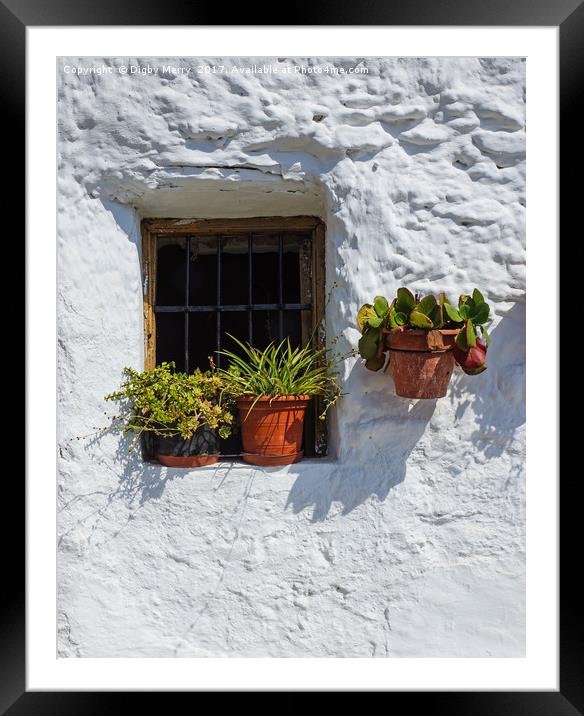 Cottage window Framed Mounted Print by Digby Merry