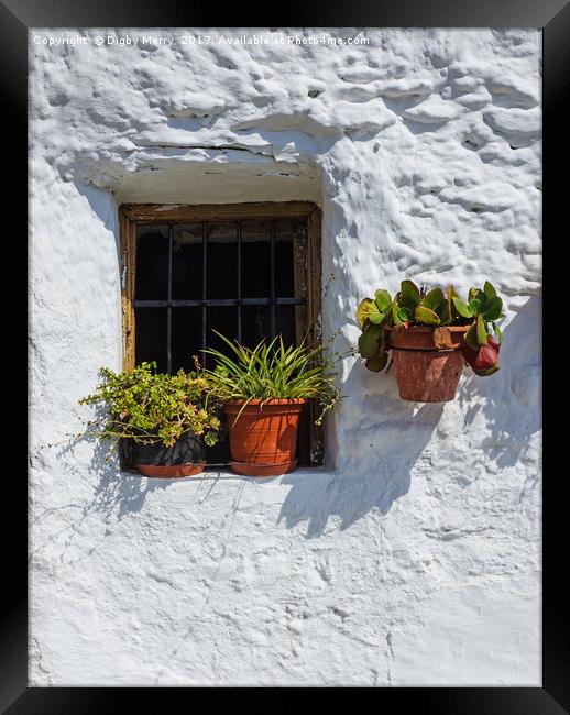 Cottage window Framed Print by Digby Merry