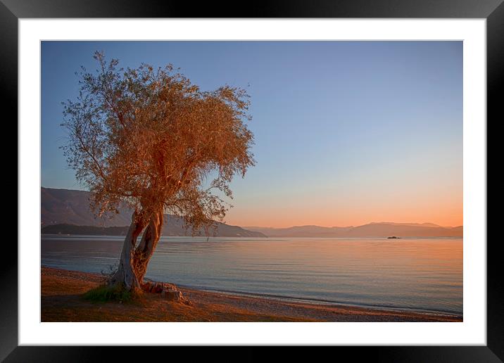 Dassia, Corfu Sunrise Framed Mounted Print by Phil Clements