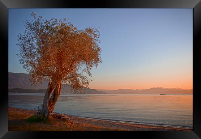 Dassia, Corfu Sunrise Framed Print by Phil Clements