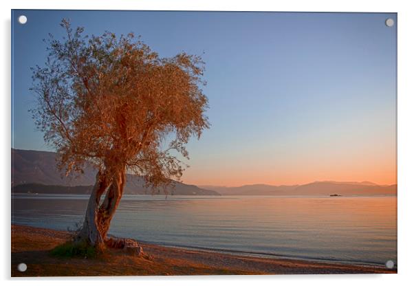 Dassia, Corfu Sunrise Acrylic by Phil Clements