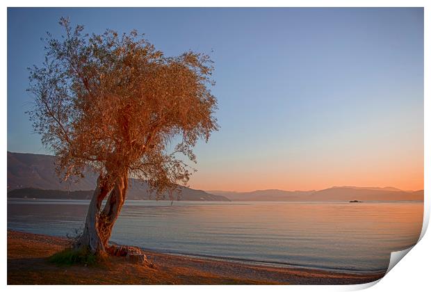 Dassia, Corfu Sunrise Print by Phil Clements