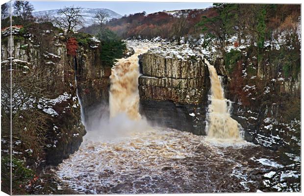 Winter, High Force - Upper Teesdale UK Canvas Print by David Lewins (LRPS)