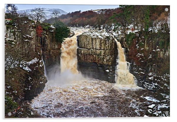 Winter, High Force - Upper Teesdale UK Acrylic by David Lewins (LRPS)