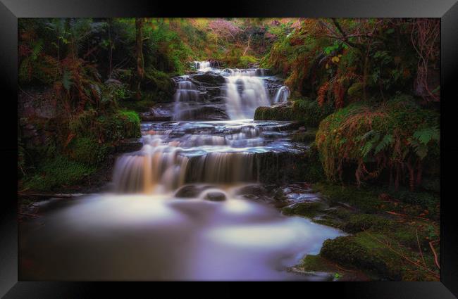 In the forest Framed Print by Jaromir Ondra