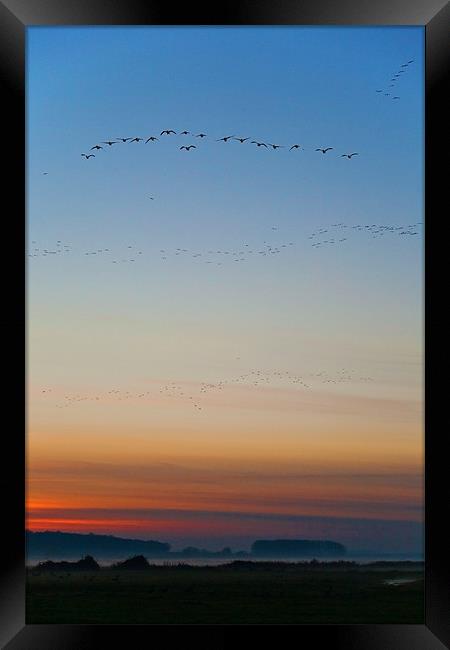 Pink Feet and Fog Framed Print by John Edwards