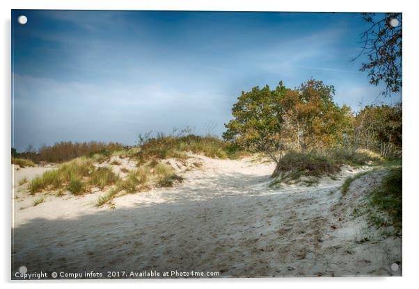 white sand surface in  dutch nature Acrylic by Chris Willemsen