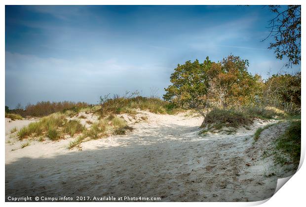 white sand surface in  dutch nature Print by Chris Willemsen