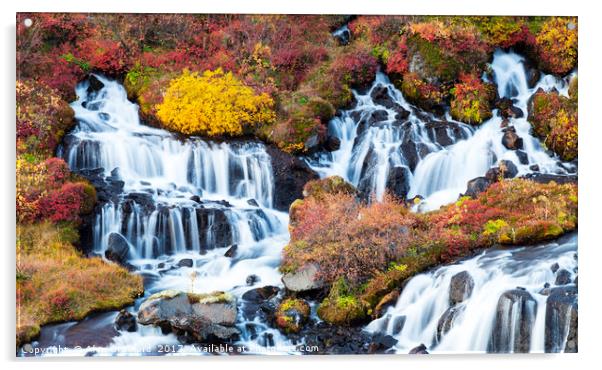 Hraunfossar Waterfall, Iceland Acrylic by Alan Crawford