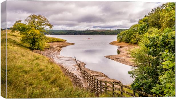 Lakeside walk in Kielder  Canvas Print by Naylor's Photography