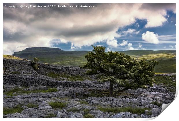 Ingleborough Top Print by Reg K Atkinson