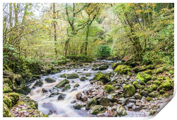 A Dales River in Autumn Print by Alf Damp