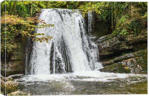 Janet's Foss waterfall Canvas Print by Alf Damp