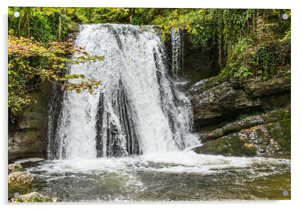 Janet's Foss waterfall Acrylic by Alf Damp