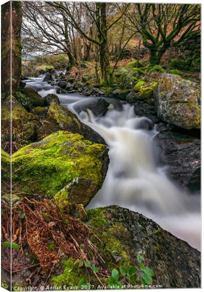 Crafnant River Rapids Canvas Print by Adrian Evans