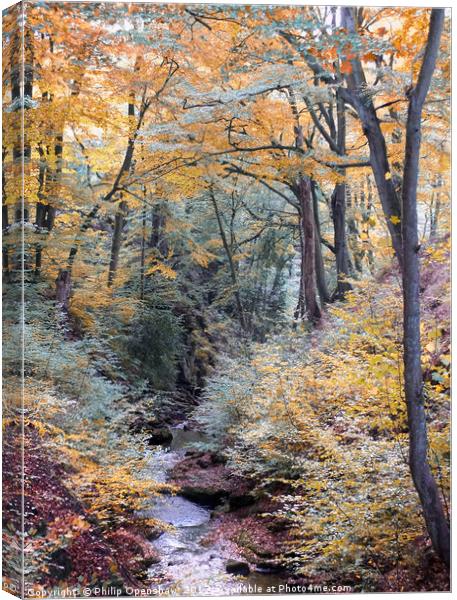 autumn woodland in beautiful seasonal colors with  Canvas Print by Philip Openshaw