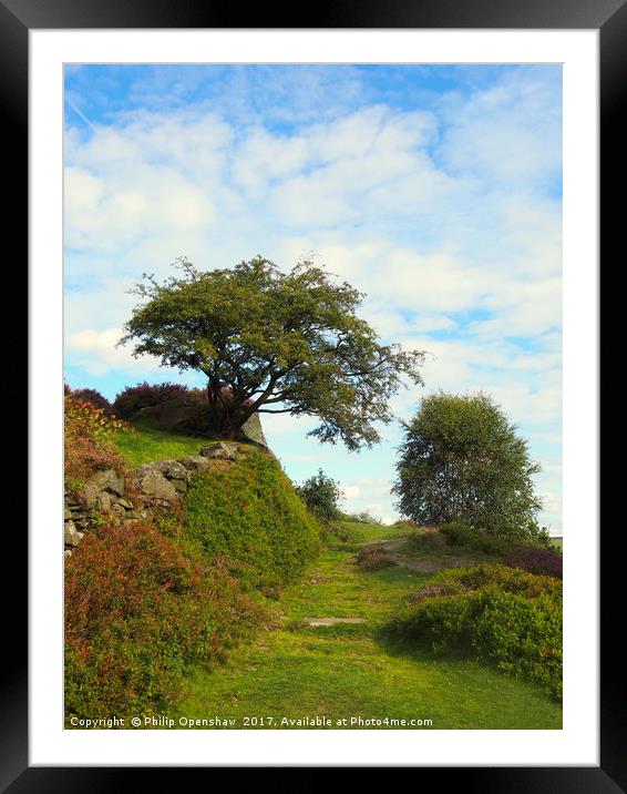 beautiful grassy pathway at the top of a hill in c Framed Mounted Print by Philip Openshaw