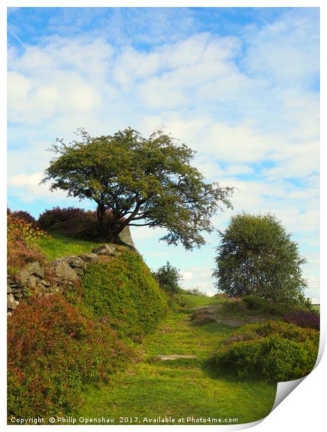 beautiful grassy pathway at the top of a hill in c Print by Philip Openshaw