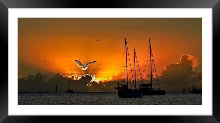 Seagull & Yacht Silhouette at Dawn. Framed Mounted Print by Geoff Childs
